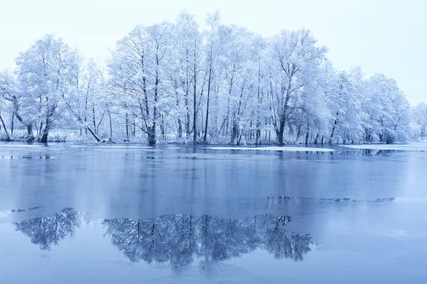 Bellissimo Parco Invernale Con Lago Ghiacciato — Foto Stock