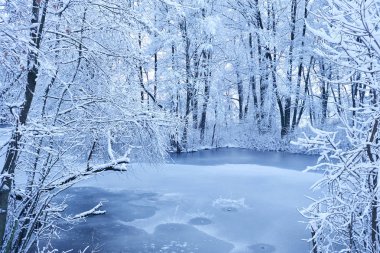 güzel kış parkı ile buzlu göl 