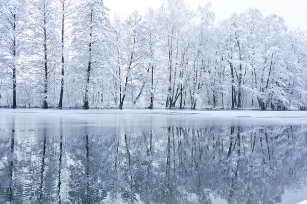 Mooie Winter Park Met Iced Lake — Stockfoto