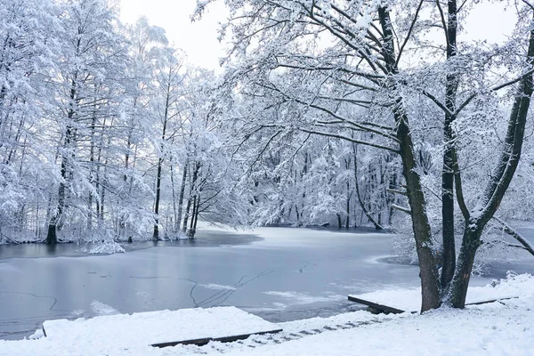 Hermoso Parque Invierno Con Lago Helado —  Fotos de Stock