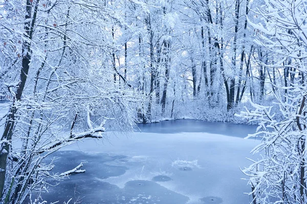 Hermoso Parque Invierno Con Lago Helado —  Fotos de Stock