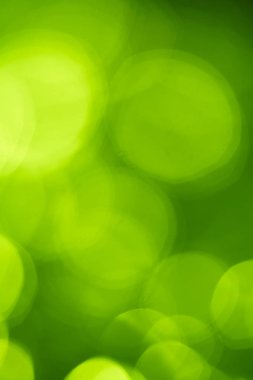 Yeşil bulanık doğal arka plan