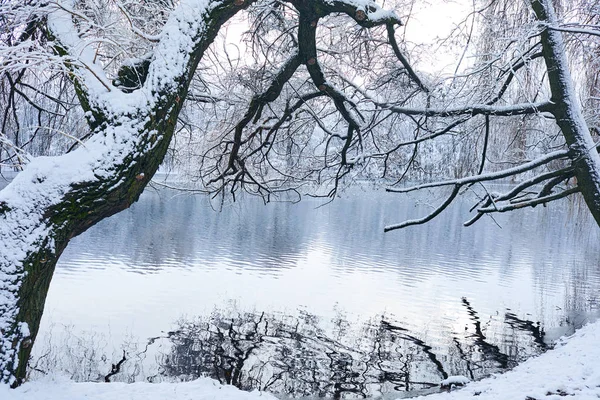 Piękny Park Zimowy Lodem Jeziora — Zdjęcie stockowe