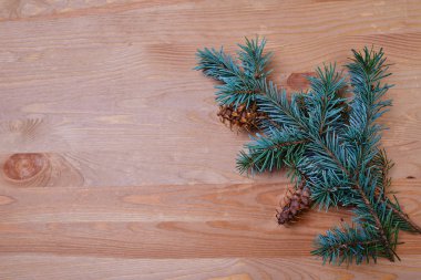 fir tree branch on wooden background  clipart