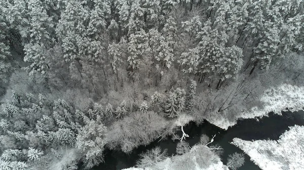 冬の朝の雪に覆われた森の川の空撮 — ストック写真