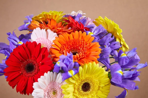 Nice Bouquet Flowers Beige Background Close — Stock Photo, Image