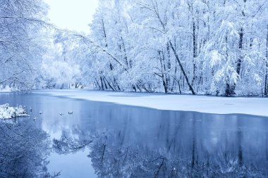 güzel kış parkı ile buzlu göl 