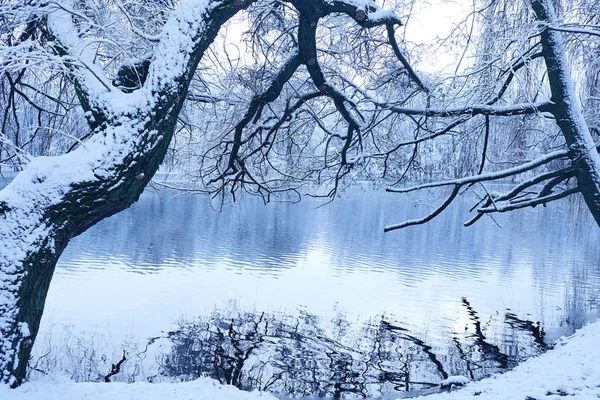 Bellissimo Parco Invernale Con Lago Freddo — Foto Stock