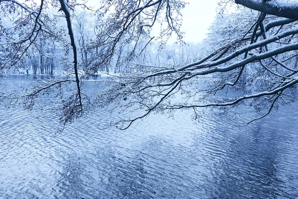 Güzel Kış Park Soğuk Gölü Ile — Stok fotoğraf