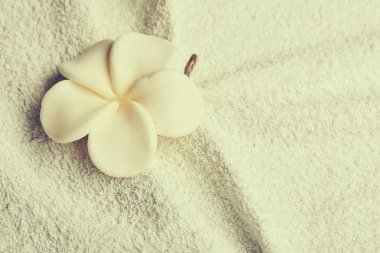 Beyaz saf havluda, spa konsept çiçek