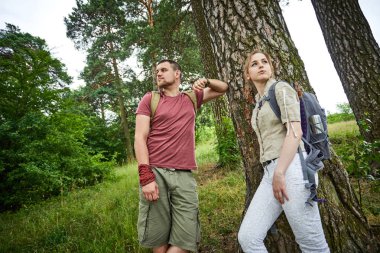 ormanda yürüyüş güneşli gün iki gezginler 