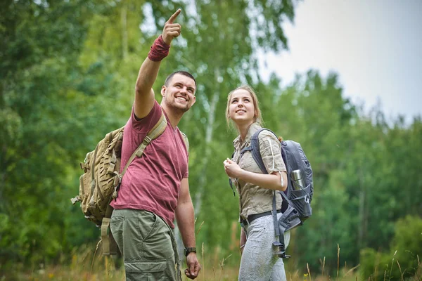 Zwei Wanderer Bei Sonnigem Wetter Wald Unterwegs — Stockfoto