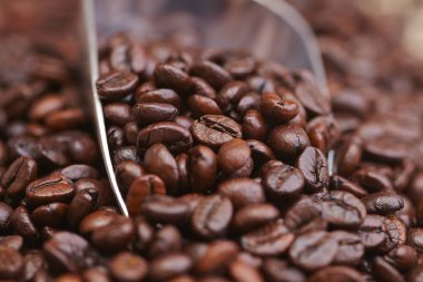 kahve çekirdekleri demir kaşıkla yakın çekim 