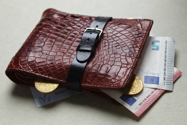 Wallet Money Wrapped Belt Close — Stock Photo, Image