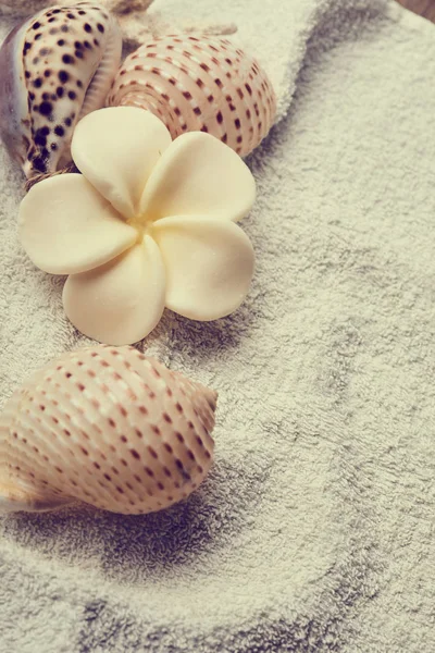 Seashells Flower Towel Spa Concept — Stock Photo, Image