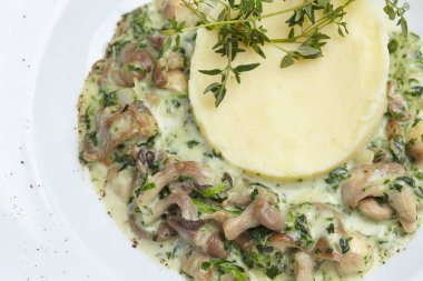 püresi patates mantar beyaz tabakta ile yakın çekim 