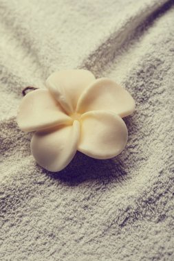 Beyaz saf havluda, spa konsept çiçek