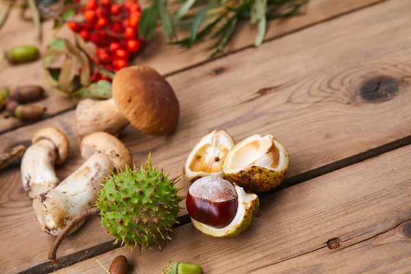 Autumn Composition Wooden Table Close — Stock Photo, Image