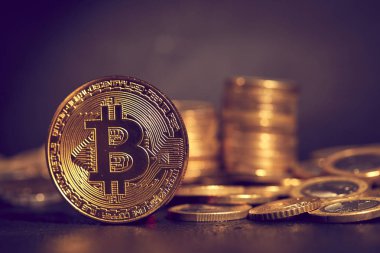 Altın bitcoins, kavram kripto para destesi