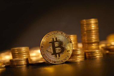 Altın bitcoins, kavram kripto para destesi