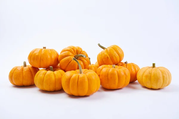 Citrouilles Fraîches Isolées Sur Fond Blanc Gros Plan — Photo