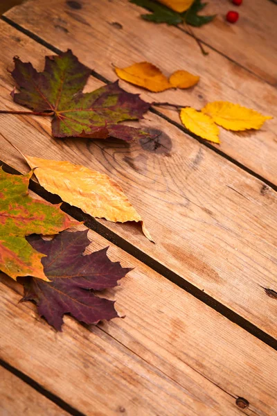 Haufen Trockener Herbstblätter Auf Hölzernem Hintergrund — Stockfoto