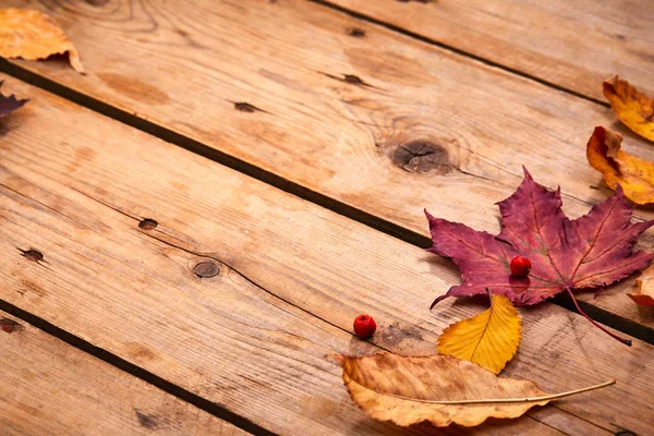 木製の背景に乾燥した紅葉の山 — ストック写真