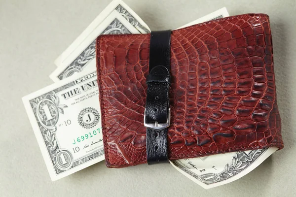 wallet with money wrapped with belt, close-up