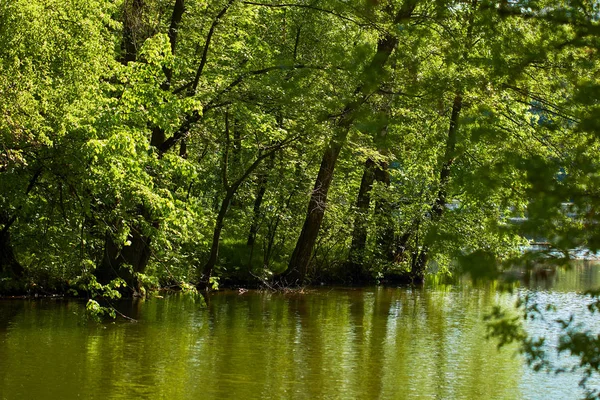 Hermoso Parque Primavera Con Lago Día Soleado — Foto de Stock