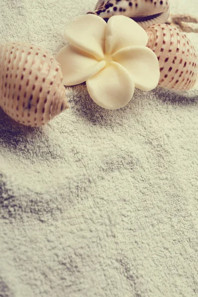 タオル スパのコンセプトの上に花と貝殻 — ストック写真