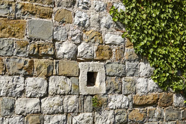 Viejo Muro Piedra Con Plantas Soleado Día Verano — Foto de Stock