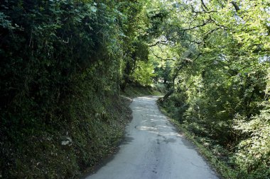 Karadağ güzel yaz parkı pitoresk görünümü