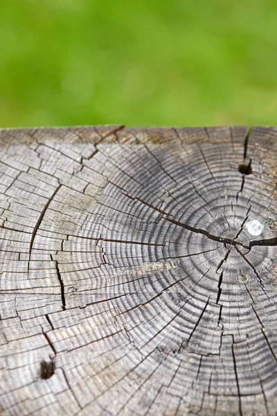 Abstracte Oude Houten Plank Natuurlijke Onscherpe Achtergrond — Stockfoto