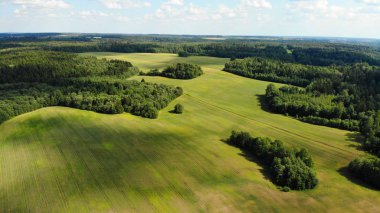 güneşli yaz gününde ormanda yeşil glade havadan görünümü 