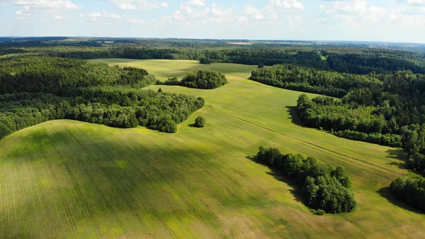 güneşli yaz gününde ormanda yeşil glade havadan görünümü 