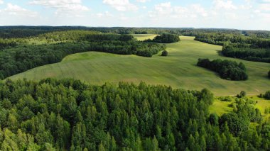 güneşli yaz gününde ormanda yeşil glade havadan görünümü 
