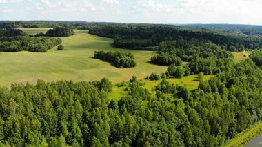 güneşli yaz gününde ormanda yeşil glade havadan görünümü 