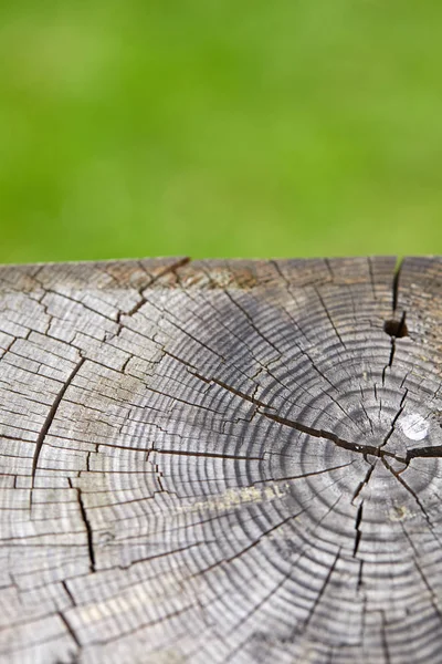 Abstracte Oude Houten Plank Natuurlijke Onscherpe Achtergrond — Stockfoto