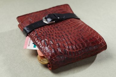 ışık arka plan üzerinde euro banknot ile deri cüzdan