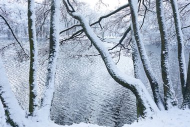 soğuk göl ile güzel karlı kış parkı 