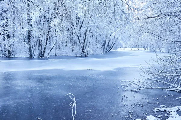 冷たい湖と美しい雪の冬の公園 — ストック写真