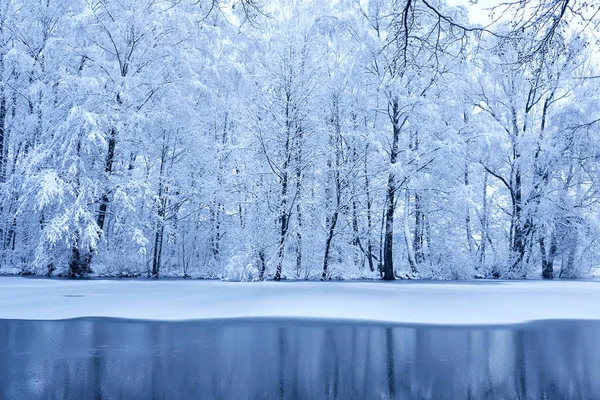 Nádherný Zasněžený Zimní Park Studeným Jezerem — Stock fotografie