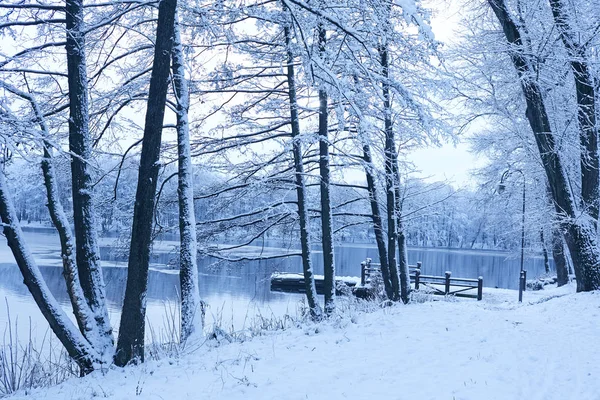 Gyönyörű Havas Téli Park Hideg Tóval — Stock Fotó