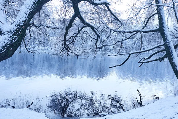冷たい湖と美しい雪の冬の公園 — ストック写真