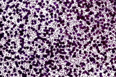 soyut parlak pembe arka plan bulanık