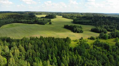 güneşli yaz gününde ormanda yeşil glade havadan görünümü 