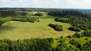 güneşli yaz gününde ormanda yeşil glade havadan görünümü 