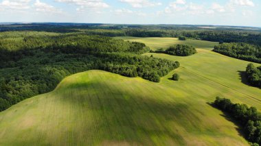 güneşli yaz gününde ormanda yeşil glade havadan görünümü 