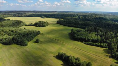 güneşli yaz gününde ormanda yeşil glade havadan görünümü 
