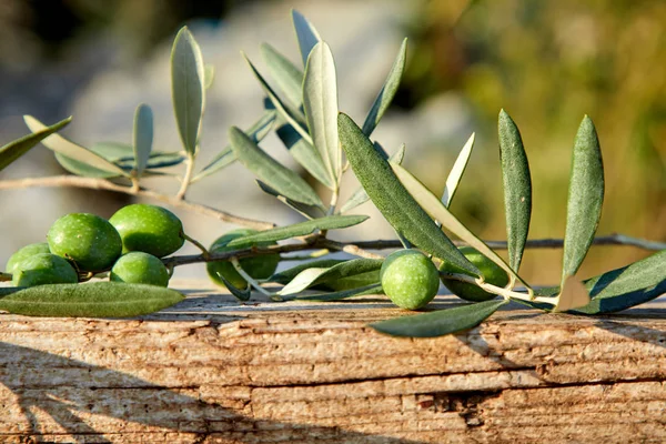 green olives with leaves on wooden background